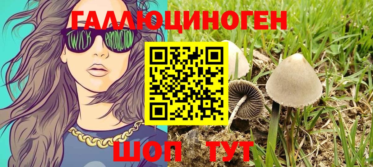 Галлюциногенные грибы мицелий Хабаровск